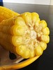 东北糯（黄）玉米 商品缩略图1