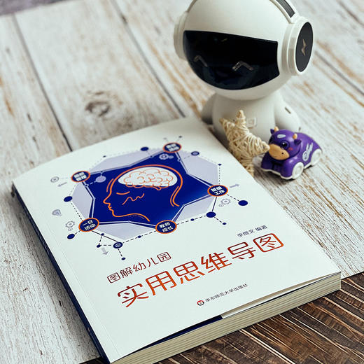 图解幼儿园实用思维导图 幼教教研员李继文编著 可视化思维工具 商品图3