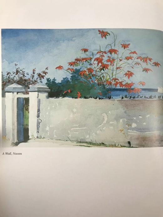 温斯洛·霍默画集 103幅插图（52幅彩色） 精装大16开 商品图7