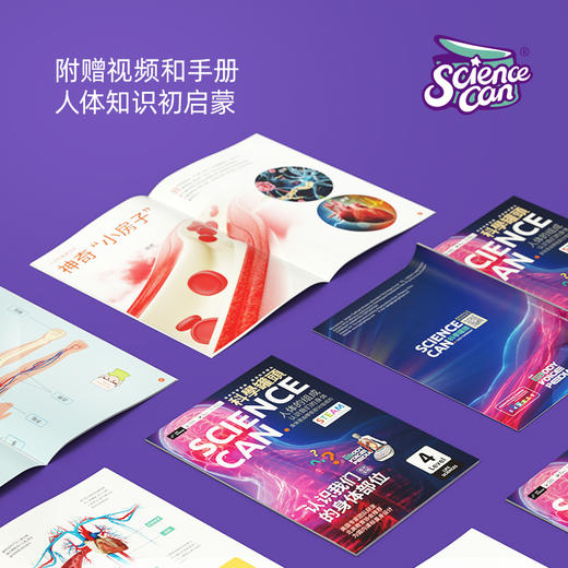 科学罐头人体解剖模型器官可拆卸儿童教学玩具我们的身体语音百科（3岁以上） 商品图5
