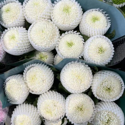 国产草花-【乒乓菊】 商品图1