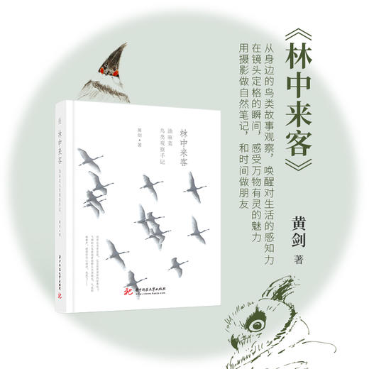 【油麻菜·新书】《林中来客》在自然中寻找与回归，一本温暖有趣有力的书（签名版预购） 商品图0