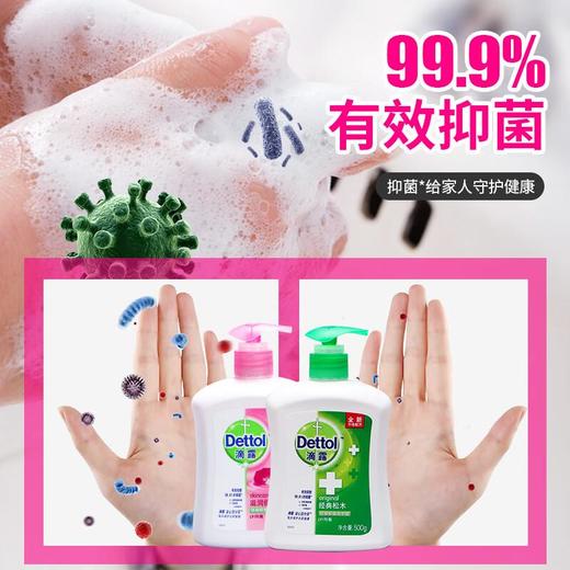 滴露健康抑菌洗手液滋润倍护450克+经典松木450克 商品图1