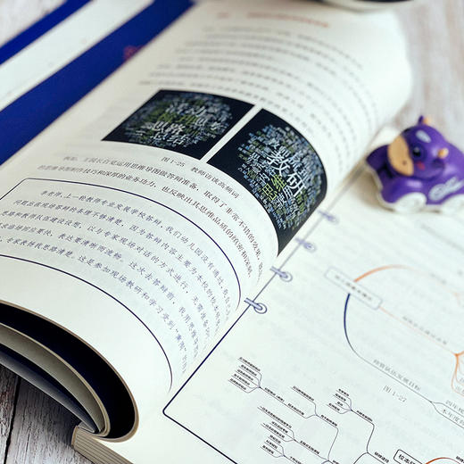 图解幼儿园实用思维导图 幼教教研员李继文编著 可视化思维工具 商品图9