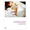 【现货】Anatol Kotte：Iconication | 阿纳托尔·科特摄影：图像化 商品缩略图0