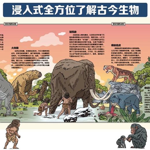 《时间图谱百科全书墙书4册》 商品图4