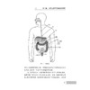 炎症性肠病患者自我管理/美国消化医师协会克罗恩病与溃疡性结肠炎患者手册/Sunanda V.Kane/译者:曹倩/浙江大学出版社 商品缩略图3