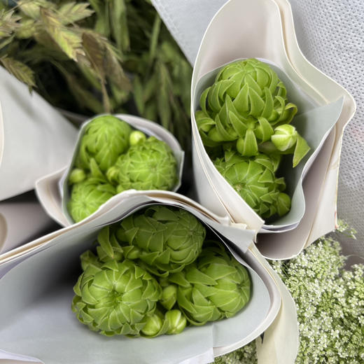 国产花材-【天鹅绒】 商品图1