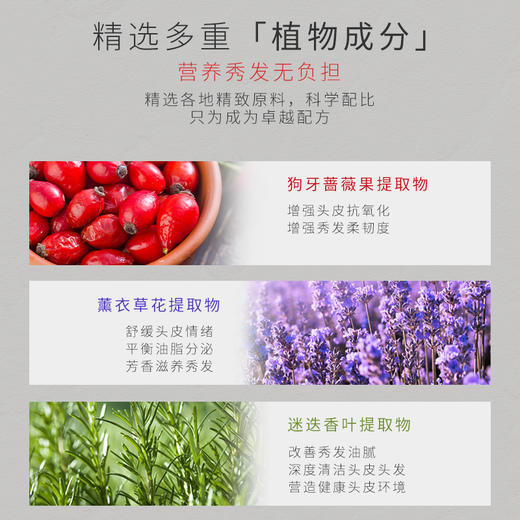 【中欧班列精选】日本蜜梨品牌洗发水蜜梨氨基酸清润洗发水/护发素/沐浴露500ml/瓶 商品图6