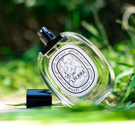 蒂普提克 常春藤之水 Diptyque Eau de Lierre 分装 商品图3