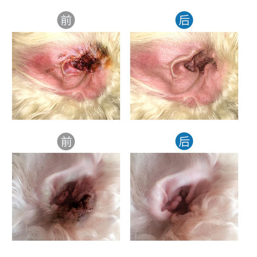 道力其宠物滴耳液60ml  温和清洁耳垢  厂家直供 一手货源 商品图3