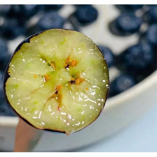 怡颗莓蓝莓125g/盒 商品图3