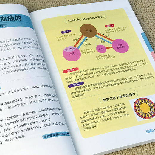 轻松自调血脂 商品图3