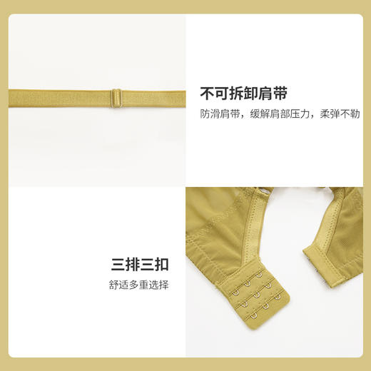 贝佳人甜美亲肤蕾丝文胸3/4杯超薄杯透气舒适精致内衣女BW932054 商品图4