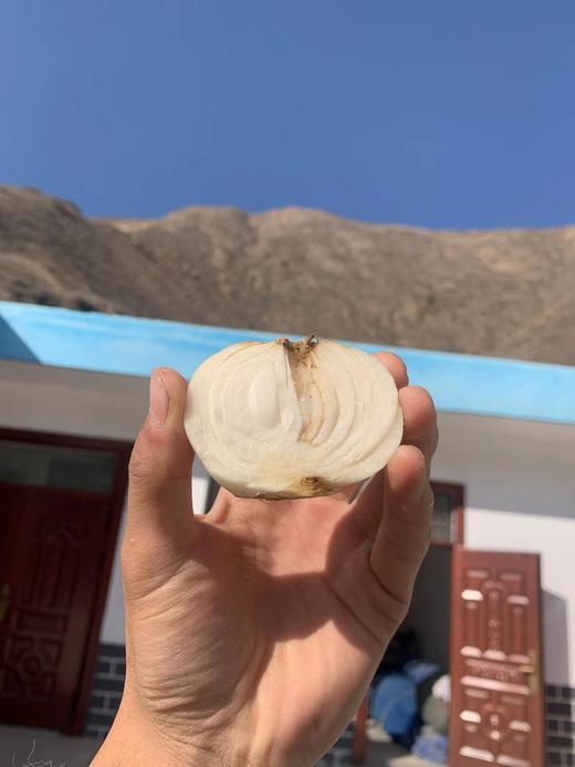 乡野陇味有机兰州百合三头装(1000g/袋） 商品图1