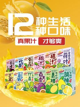 （新版）阳光先生系列果汁饮料 250ML*6/组