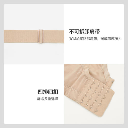 贝佳人全罩杯薄款大码文胸亲肤蕾丝气质软钢圈内衣女BW902013 商品图4