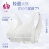 贝佳人薄杯文胸3/4杯舒适无钢圈上托聚拢稳固内衣女BW952008 商品缩略图0