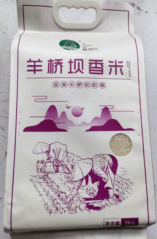 巫溪山地生态稻米施用有机肥不打农药红岩香米羊桥坝香米 商品图5