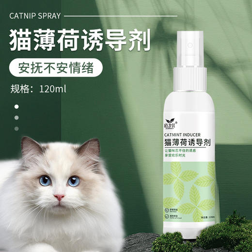 道力其猫咪薄荷诱导剂120ml 植物配方 安抚情绪 不好卖包退！ 商品图1