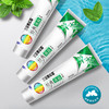 三金 经典消焱牙膏 100g（薄荷香型） 商品缩略图0