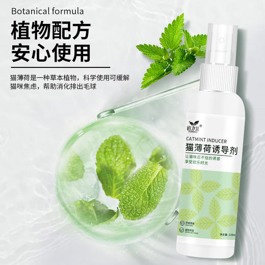 道力其猫咪薄荷诱导剂120ml 植物配方 安抚情绪 不好卖包退！ 商品图2