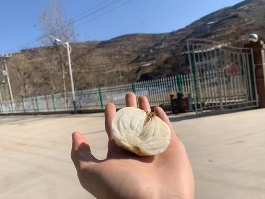 乡野陇味有机兰州百合三头装(1000g/袋） 商品图2