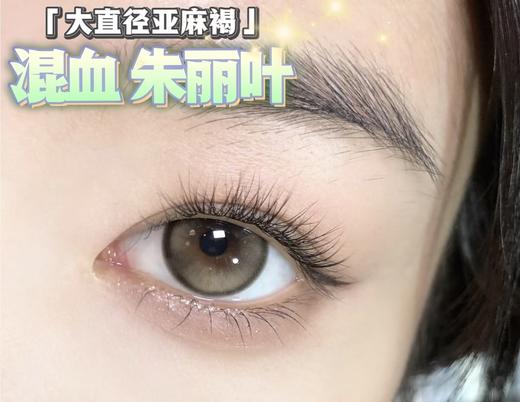 Ginomii半年抛品牌-Polly 朱丽叶 商品图5