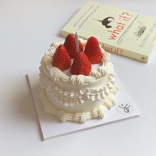 复古小草莓 | 简约手绘蛋糕 商品图0