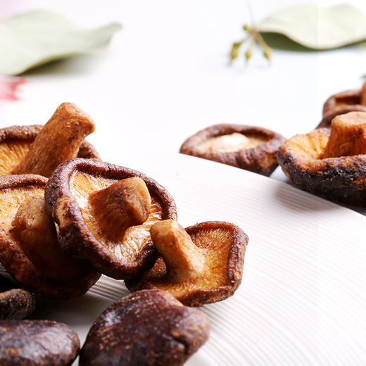 香菇脆54g 鲜香酥脆 原蔬营养 商品图3