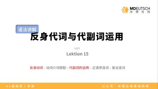 【语法】反身动词与代副词丨L15 商品图0