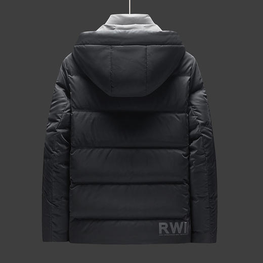 【85%白鸭绒】罗蒙羽绒服男士冬季保暖短款休闲连帽羽绒服外套 商品图2