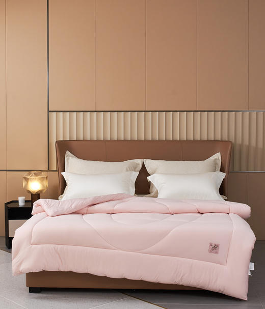 【下架】自然醒【零感】贴芯蛋糕春秋被/冬被 开袋即睡 不用被套 抗菌 可机洗贴身被子秋冬加厚保暖冬被芯LB 商品图1