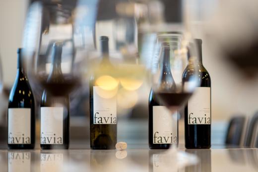 【跨境】法维亚赤霞珠干红 2019 Favia Cabernet Sauvignon 商品图4