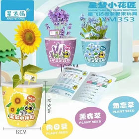 【博乐里】XM353 星梦小花匠 迷你可爱盆栽小盆景 植物种子种植 培养孩子动手能力
