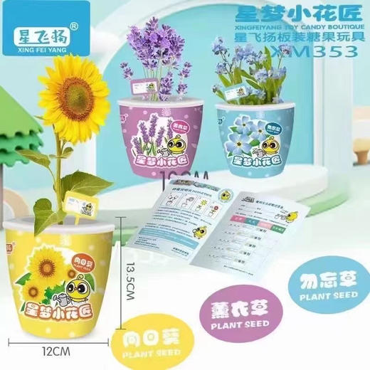 【荣民】XM353 星梦小花匠 迷你可爱盆栽小盆景 植物种子种植 培养孩子动手能力 商品图0