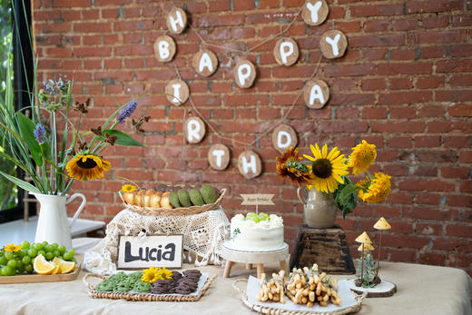 订制：农场生日派对 商品图3