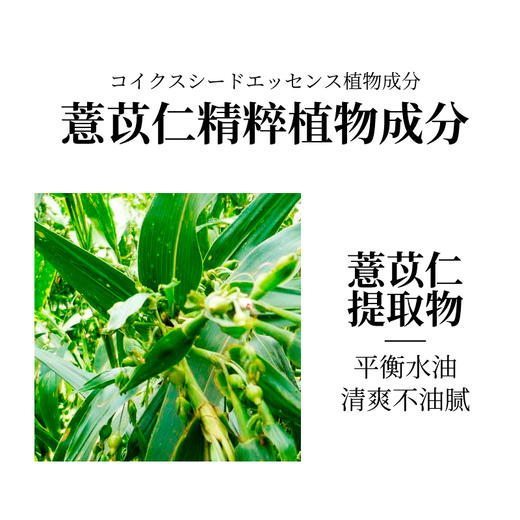 【中欧班列精选】日本蜜梨品牌薏仁爽肤水500ml/瓶   授权直供 商品图4