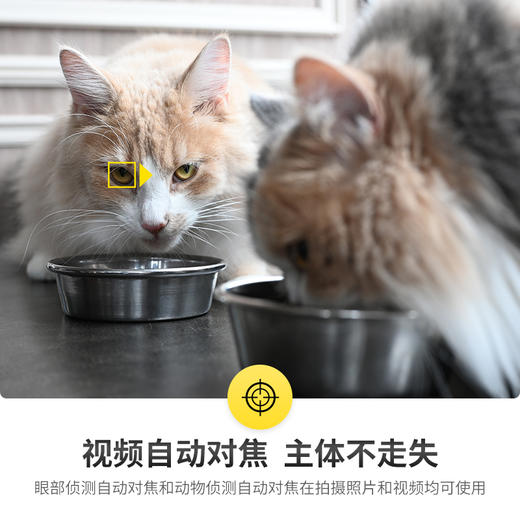 【光影造梦专家】Nikon/尼康Z6Ⅱ 全画幅微单相机 高清旅游视频vlog直播自拍相机 全国联保售出后不退不换 包邮  商品图1