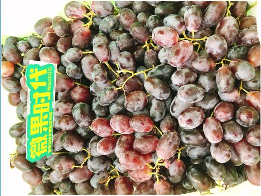 蜜而脆葡萄一箱（补单） 商品图0