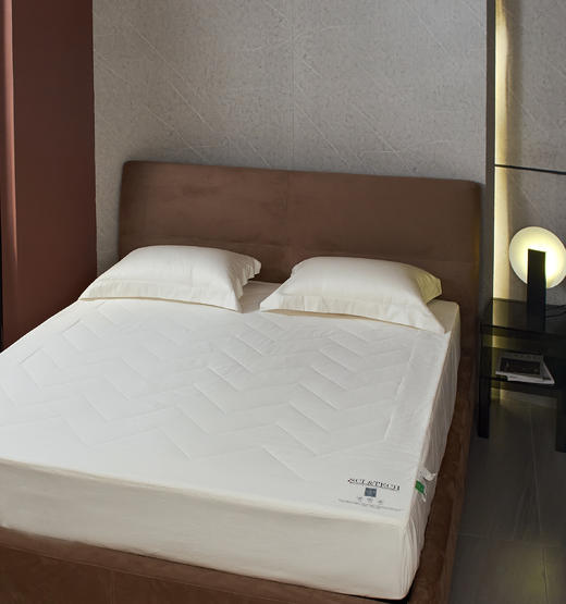 【下架】自然醒净卫士 • 三防床护垫 防水 防油 防污 防滑 可水洗保护床垫LB 商品图1