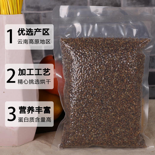 【吉顺号食品】云南高原特产苦荞麦500g 商品图2