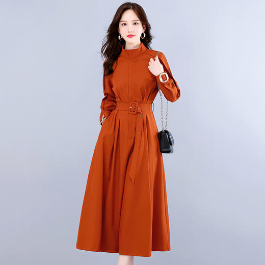 2022新款法式长袖气质轻熟风冷淡风女装感衬衫连衣裙HR-WH22219 商品图5