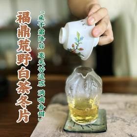 宽茶窄酒｜2017年福鼎荒野冬片白茶 采于霜降后 毫无苦涩感 薄荷味与棕叶香