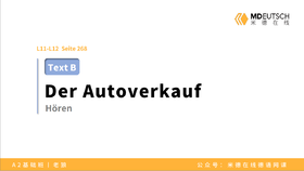 【文章】卖车&住在德国丨L11-12