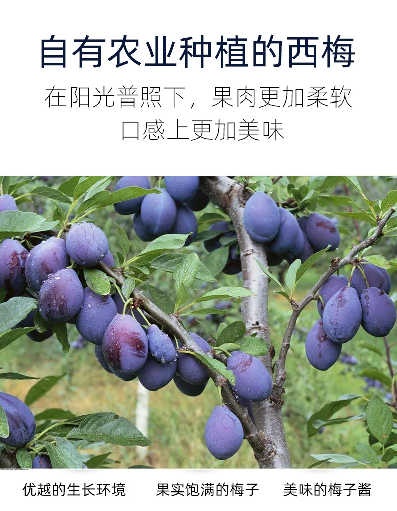 哈梅熊番茄酱详情_06