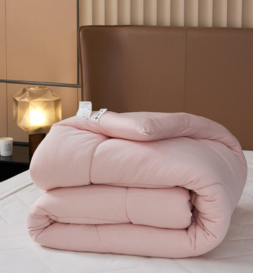 【下架】自然醒【零感】贴芯蛋糕春秋被/冬被 开袋即睡 不用被套 抗菌 可机洗贴身被子秋冬加厚保暖冬被芯LB 商品图8