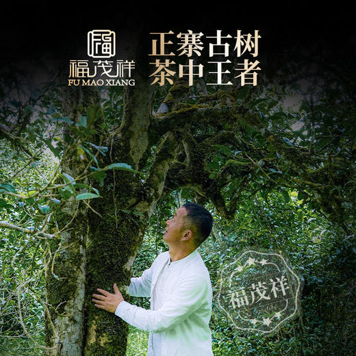 【神兽凤凰】2020年拼配2021年冰岛老寨云南普洱生茶357g 商品图1