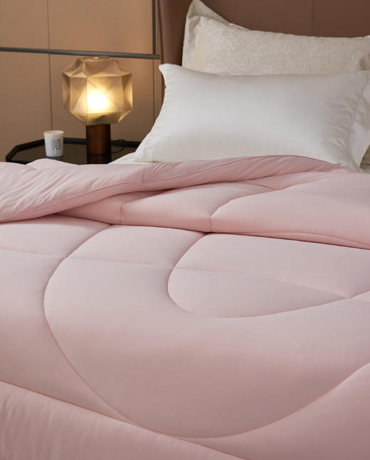 【下架】自然醒【零感】贴芯蛋糕春秋被/冬被 开袋即睡 不用被套 抗菌 可机洗贴身被子秋冬加厚保暖冬被芯LB 商品图3