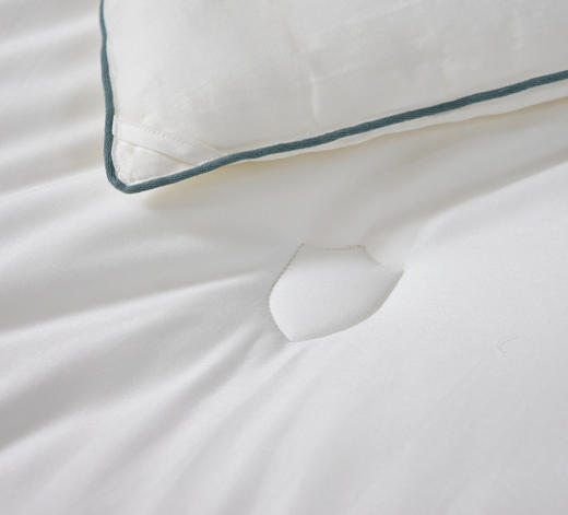 【下架】自然醒净卫士 • high皮抗菌冬被芯单双人秋冬被加厚棉被四季通用保暖冬被LB 商品图7